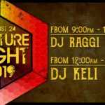 Menningarnótt / Culture Night Party